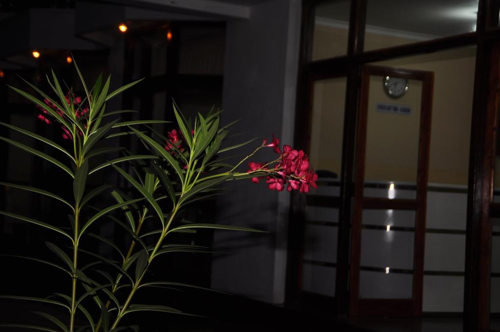 Melbourne Tourist Rest Hotel Anuradhapura Kültér fotó